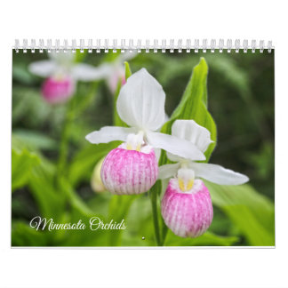 Calendário das orquídeas de Minnesota