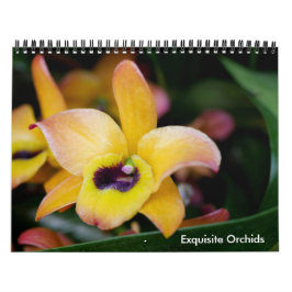 Calendário das Orquídeas Exquisitas