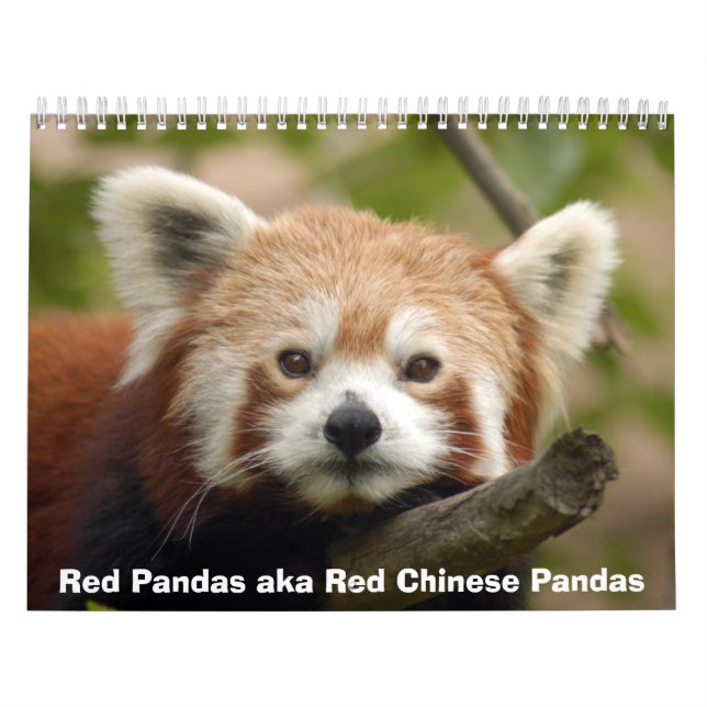 Calendário das pandas vermelhas (Capa)