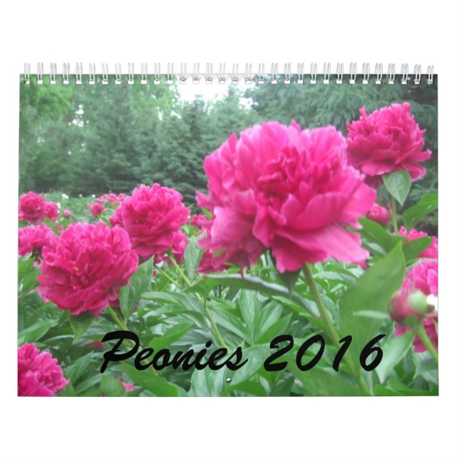 Calendário das peônias 2016 (Capa)