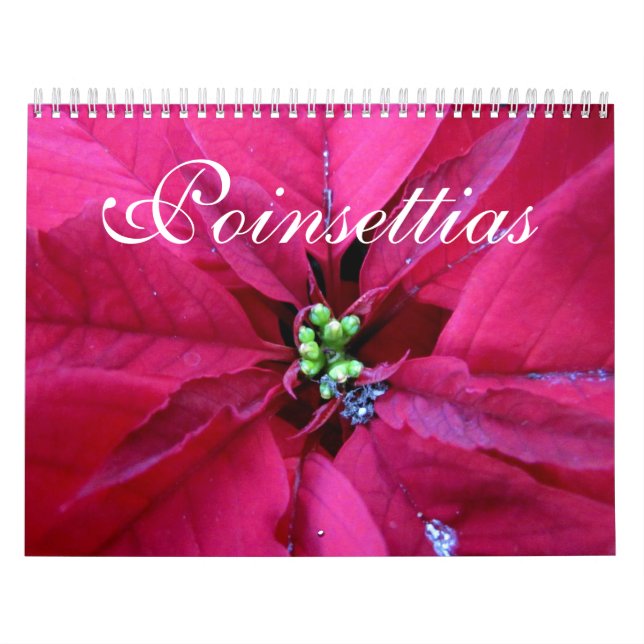 Calendário das poinsétias (Capa)