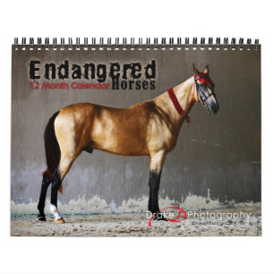 Calendário das Raças de Cavalos Ameaçados de 20