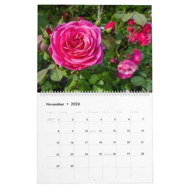 Calendário das rosas rosa (Nov 2026)