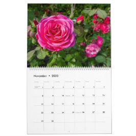 Calendário das rosas rosa