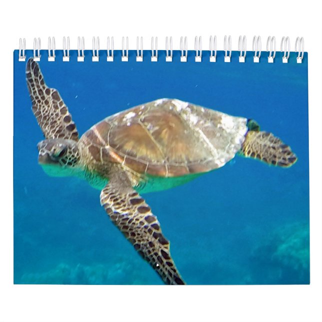 Calendário das tartarugas de Havaí (Capa)