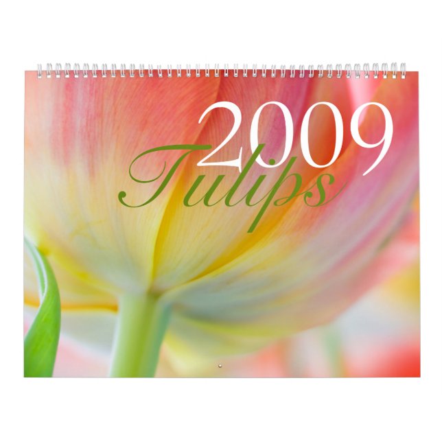 Calendário das tulipas 2009 (Capa)