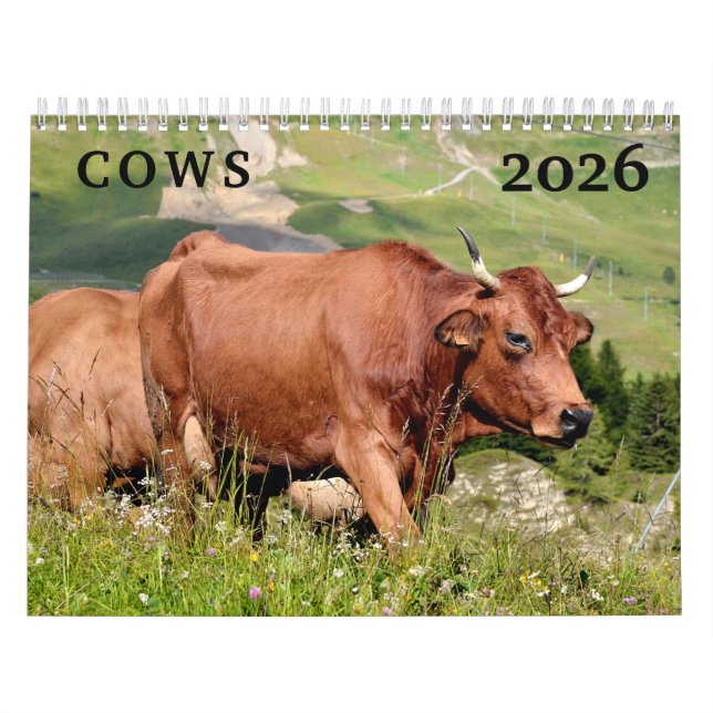 Calendário das vacas (Capa)