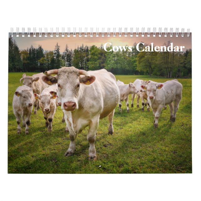 Calendário das Vacas 2025 (Capa)