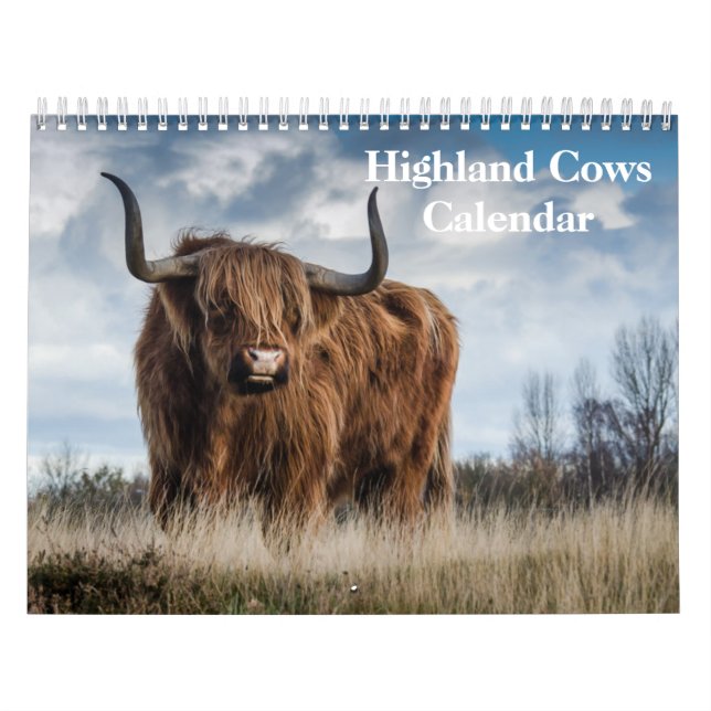 Calendário das Vacas do Highland 2025 (Capa)