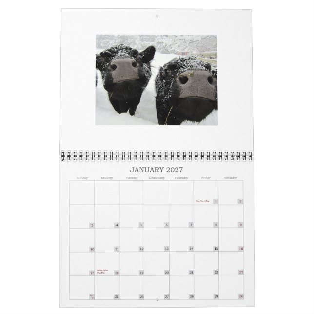 Calendário das vacas e vitelos 2015 (Jan 2027)