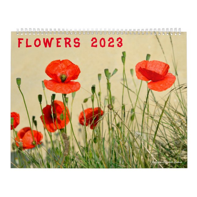 Calendário das várias flores 2023 (Capa)