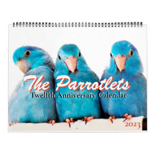 Calendário de 12 anos do aniversário dos Parrotlet