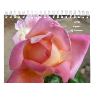 Calendário de 12 etapas