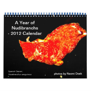 Calendário de 12 meses com fotos das marcas Nudib