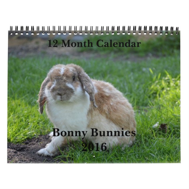 Calendário de 12 Meses de Bonny Bunnies 2016 (Capa)