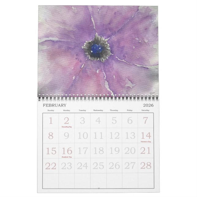 Calendário de 12 Meses de Flutuações de Cores Aquá (Fev 2026)