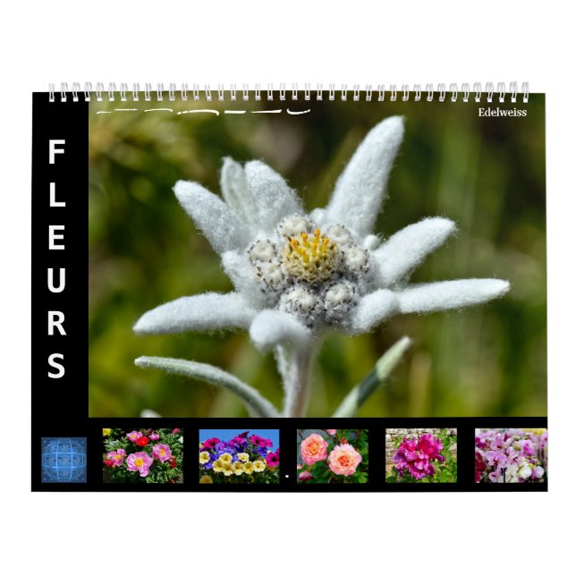 Calendário de 12 meses de várias flores (Capa)