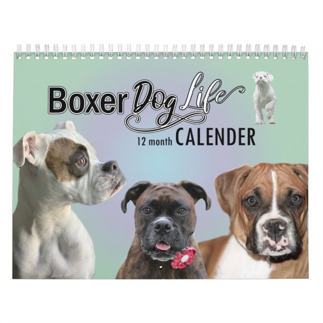 Calendário de 12 Meses de Vida do Cachorro (Capa)