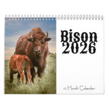 Calendário de 12 Meses do Bison 2026