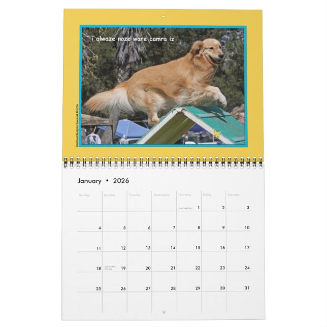 Calendário de 12 meses do ouro Retriever "Regra de (Jan 2026)