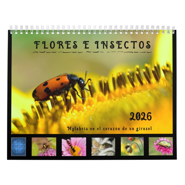 Calendário de 12 meses em vários insetos y flore (Capa)