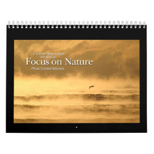 calendário de 12 vencedores do mês