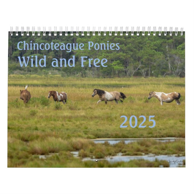 Calendário de 18 Meses de Chincoteague Ponies 2025 (Capa)