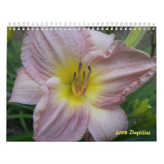 Calendário de 2008 hemerocallis - personalizado