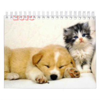 calendário de 2010 animais