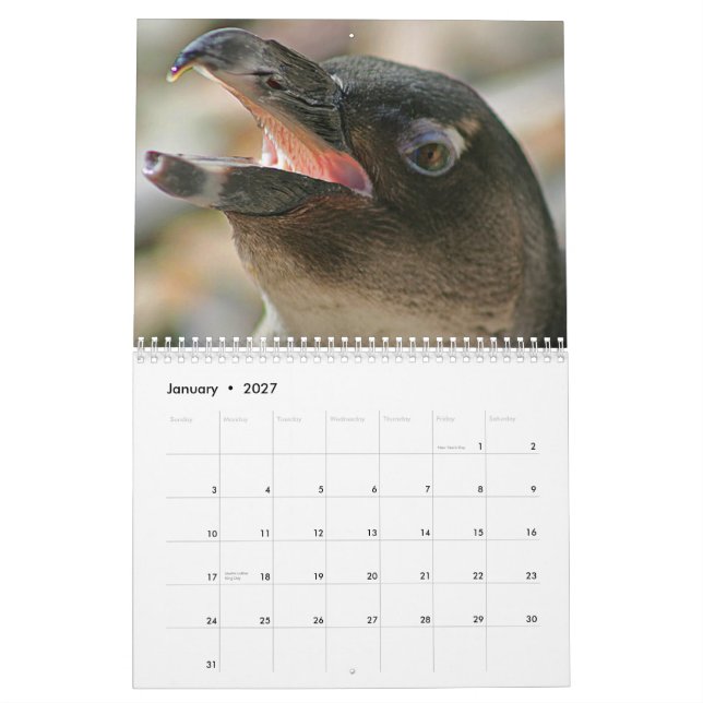 Calendário de 2011 animais criado pela galeria de (Jan 2027)