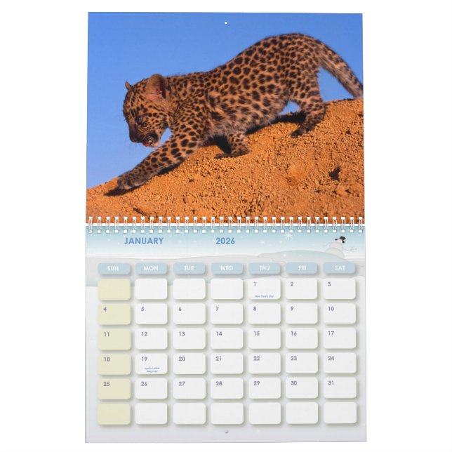 Calendário de 2011 leopardos (Jan 2026)