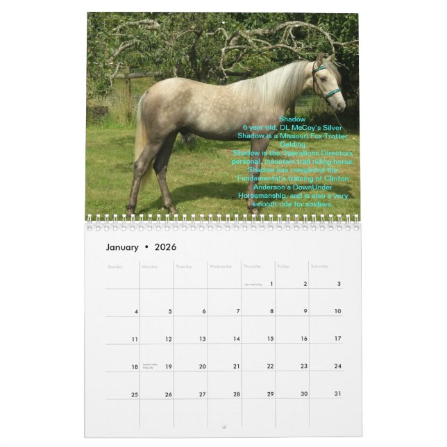 Calendário de 2012 cavalos de RTR (Jan 2026)