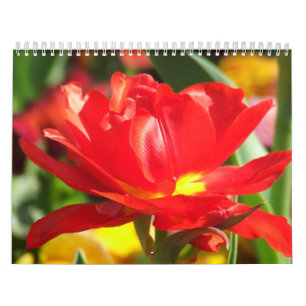 Calendário de 2012 flores