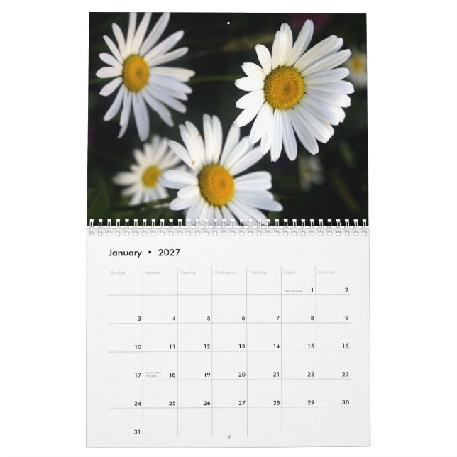 Calendário de 2012 flores (Jan 2027)
