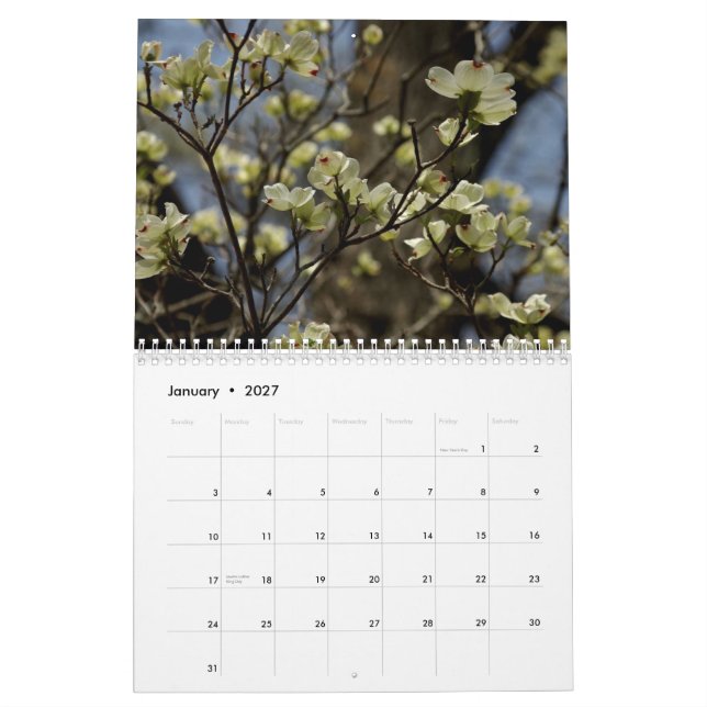 Calendário de 2012 flores (Jan 2027)
