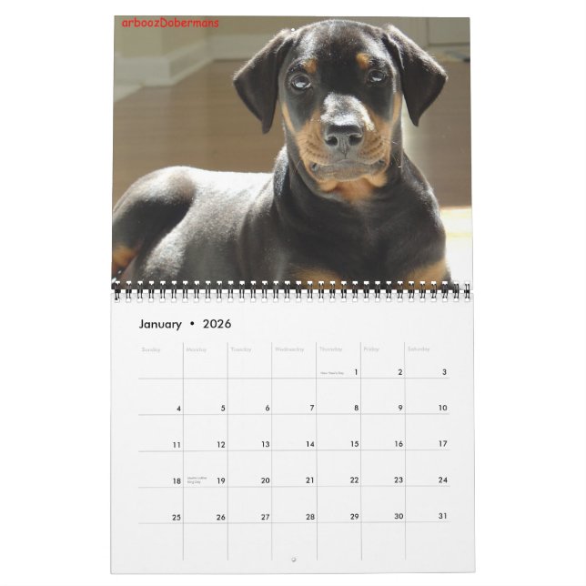 Calendário de 2013. (Jan 2026)