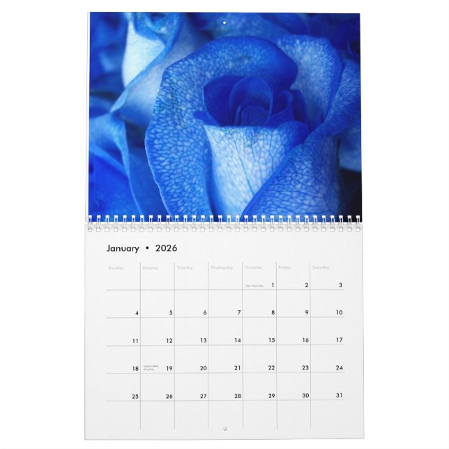 CALENDÁRIO DE 2013 (Jan 2026)