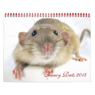 Calendário de 2013 para ratos ricos