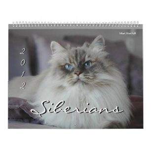 Calendário de 2014 dos Siberians gatos & de