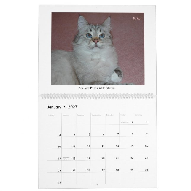 Calendário de 2014 dos Siberians gatos & de (Jan 2027)