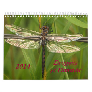 Calendário de 2014 libélulas e de Damselflies