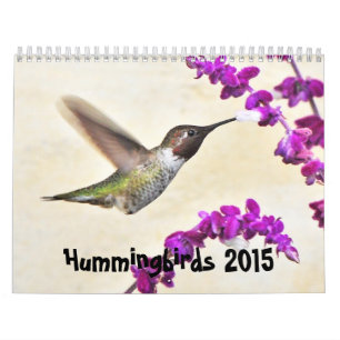 Calendário de 2015 colibris