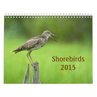 Calendário de 2015 Shorebirds