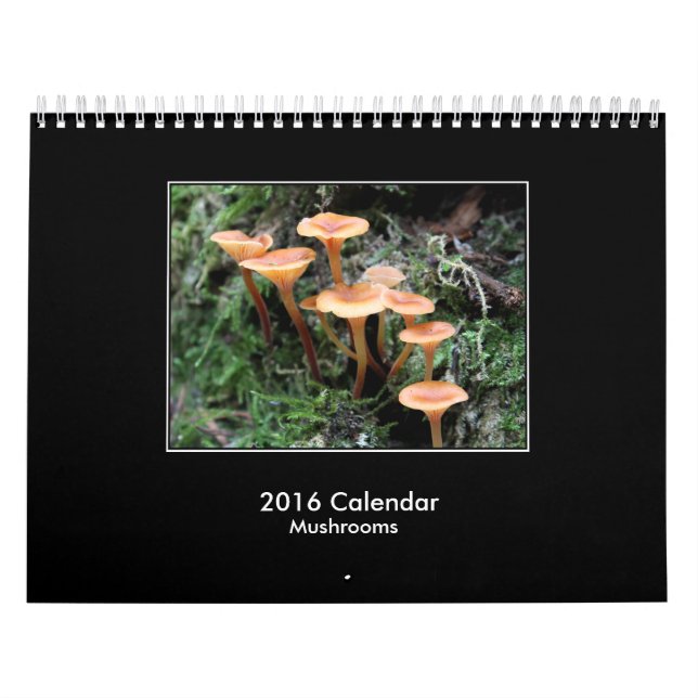 Calendário de 2016 cogumelos (Capa)