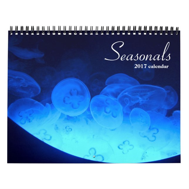 Calendário de 2017 para as águas-vivas (Capa)