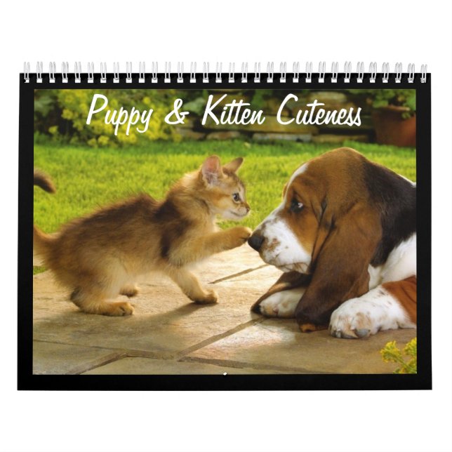 Calendário de 2018 para Cuppies e Kittens (Capa)