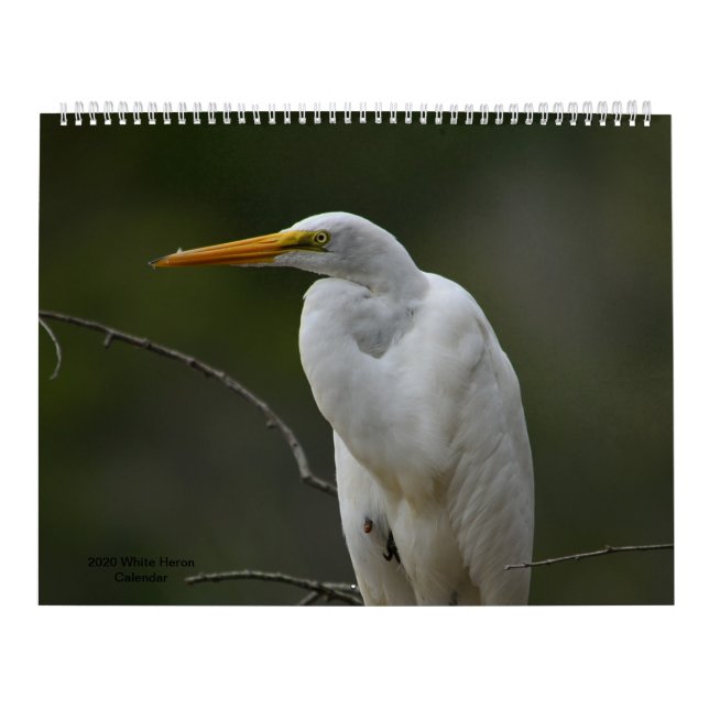 Calendário de 2020 do Heron branco (Capa)