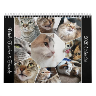 Calendário de 2020 Petals Feather & Friends