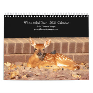 Calendário de 2021 com cera branca