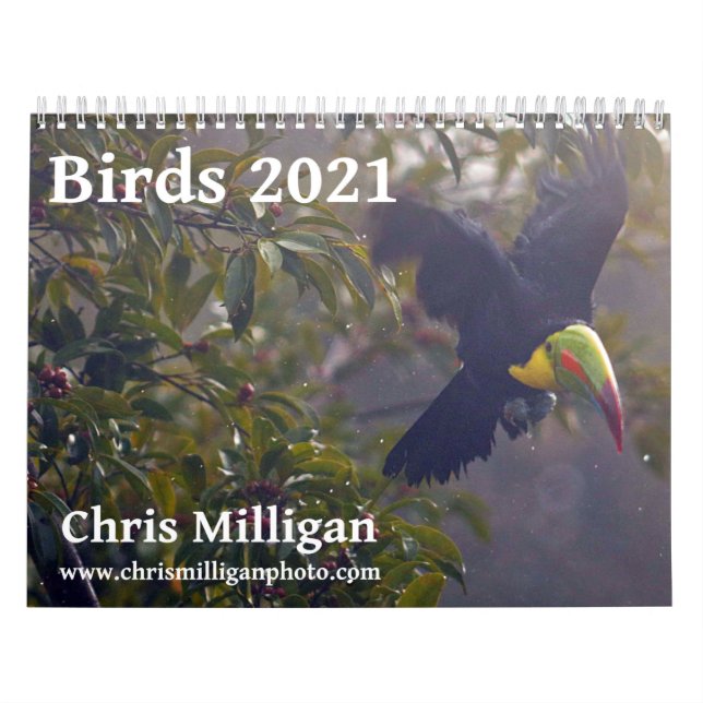 Calendário de 2021 das Aves por Chris Milligan (Capa)